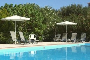 Eriphilly Studios & Apartments_best prices_in_Apartment_Aegean Islands_Lesvos_Mythimna (Molyvos)