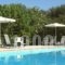 Eriphilly Studios & Apartments_best prices_in_Apartment_Aegean Islands_Lesvos_Mythimna (Molyvos)