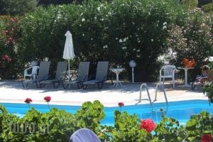 Eriphilly Studios & Apartments_best deals_Apartment_Aegean Islands_Lesvos_Mythimna (Molyvos)
