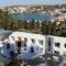 Villa Dora Studios 1_accommodation_in_Villa_Cyclades Islands_Andros_Andros City