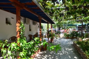 Studios Plaka_best deals_Apartment_Aegean Islands_Thasos_Thasos Chora