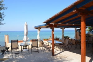 Studios Plaka_holidays_in_Apartment_Aegean Islands_Thasos_Thasos Chora