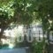 Smile Stella Studios_best deals_Hotel_Sporades Islands_Skopelos_Skopelos Chora