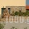 Maistrali Apartments_best deals_Apartment_Macedonia_Halkidiki_Chalkidiki Area