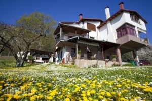 Militsa Guesthouse_best prices_in_Hotel_Macedonia_Imathia_Naousa