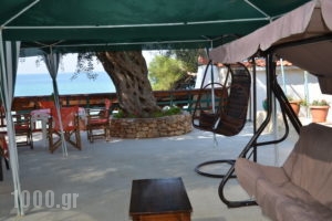 Studios Plaka_best prices_in_Apartment_Aegean Islands_Thasos_Thasos Chora