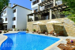 Hotel Zagora_accommodation_in_Hotel_Thessaly_Magnesia_Portaria