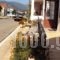 Thodora Appartments_lowest prices_in_Hotel_Ionian Islands_Kefalonia_Kefalonia'st Areas