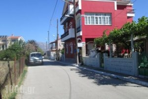 Venezia Apartments_accommodation_in_Apartment_Ionian Islands_Kefalonia_Kefalonia'st Areas