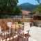 Venezia Apartments_lowest prices_in_Apartment_Ionian Islands_Kefalonia_Kefalonia'st Areas