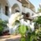 Aloe Villa_accommodation_in_Villa_Ionian Islands_Lefkada_Sivota
