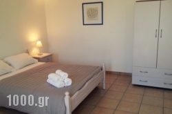 Letos Villas in Aigina Rest Areas, Aigina, Piraeus Islands - Trizonia