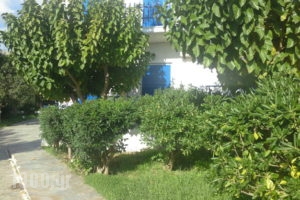 Aetos Beach Bungalows_travel_packages_in_Central Greece_Evia_Karystos