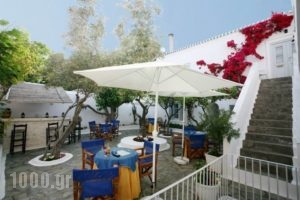 Villa Christina_accommodation_in_Villa_Piraeus Islands - Trizonia_Spetses_Spetses Chora