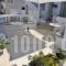 Eleftheria Veloudiou_holidays_in_Hotel_Cyclades Islands_Tinos_Tinosora