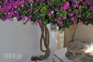 Eleftheria Veloudiou_best deals_Hotel_Cyclades Islands_Tinos_Tinosora