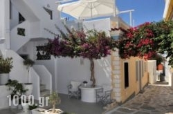 Eleftheria Veloudiou in Tinos Chora, Tinos, Cyclades Islands