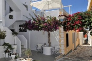 Eleftheria Veloudiou_accommodation_in_Hotel_Cyclades Islands_Tinos_Tinosora