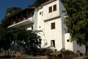 Oasis_accommodation_in_Hotel_Thessaly_Magnesia_Zagora