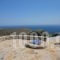 Dimitris Apartments_accommodation_in_Room_Dodekanessos Islands_Kasos_Kasos Chora