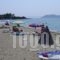 Star Paradise_best prices_in_Hotel_Macedonia_Halkidiki_Neos Marmaras