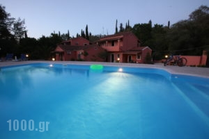 Apartments Despina_holidays_in_Apartment_Ionian Islands_Corfu_Benitses