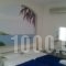 Noe Rooms_best deals_Room_Cyclades Islands_Tinos_Tinos Chora