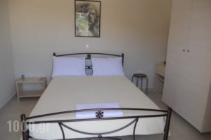 Kalliope Apartments_lowest prices_in_Room_Ionian Islands_Lefkada_Lefkada Chora