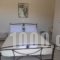 Kalliope Apartments_lowest prices_in_Room_Ionian Islands_Lefkada_Lefkada Chora