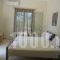 Kalliope Apartments_best deals_Room_Ionian Islands_Lefkada_Lefkada Chora