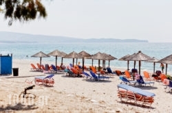 Villa Fun & Sun in Limenaria, Thasos, Aegean Islands