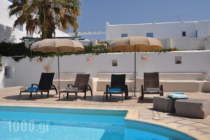 Heliessa Rooms and Suites_lowest prices_in_Hotel_Cyclades Islands_Paros_Naousa