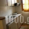 Alex Apartments_best deals_Apartment_Crete_Heraklion_Gouves