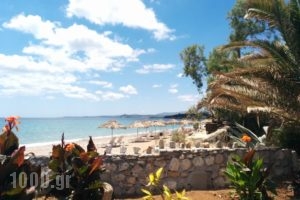 Pension Katoji_lowest prices_in_Room_Peloponesse_Messinia_Chrani