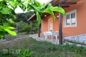 Eros Amalia_best deals_Hotel_Ionian Islands_Corfu_Corfu Rest Areas