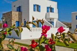 Blue Myth Studios_accommodation_in_Hotel_Cyclades Islands_Naxos_Naxosst Areas