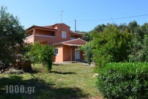 Eros Amalia_accommodation_in_Hotel_Ionian Islands_Corfu_Corfu Rest Areas