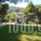 Brunello Seaside Apartments_accommodation_in_Room_Ionian Islands_Lefkada_Lefkada Chora