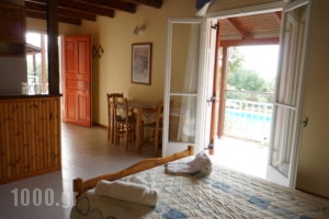 Aria_holidays_in_Apartment_Ionian Islands_Kefalonia_Kefalonia'st Areas