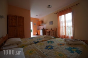 Aria_accommodation_in_Apartment_Ionian Islands_Kefalonia_Kefalonia'st Areas