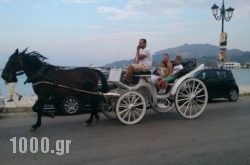 Abby in Macherado, Zakinthos, Ionian Islands