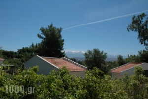 Villa Pefki_best deals_Villa_Crete_Chania_Chania City