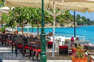 Dolphin Beach Hotel_travel_packages_in_Macedonia_Halkidiki_Kassandreia