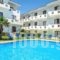 Dolphin Beach Hotel_holidays_in_Hotel_Macedonia_Halkidiki_Kassandreia