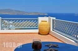 Lefkanthemo in Thasos Chora, Thasos, Aegean Islands