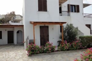 Studios Petros_holidays_in_Hotel_Cyclades Islands_Naxos_Naxos chora