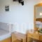 Hotel Odyssion_best deals_Hotel_Ionian Islands_Lefkada_Vasiliki