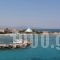 Yianna Hotel_best deals_Hotel_Piraeus islands - Trizonia_Agistri_Agistri Rest Areas