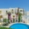 Hotel Proteas_best prices_in_Hotel_Cyclades Islands_Naxos_Agios Prokopios