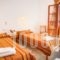 Village Twins_holidays_in_Hotel_Cyclades Islands_Ios_Ios Chora